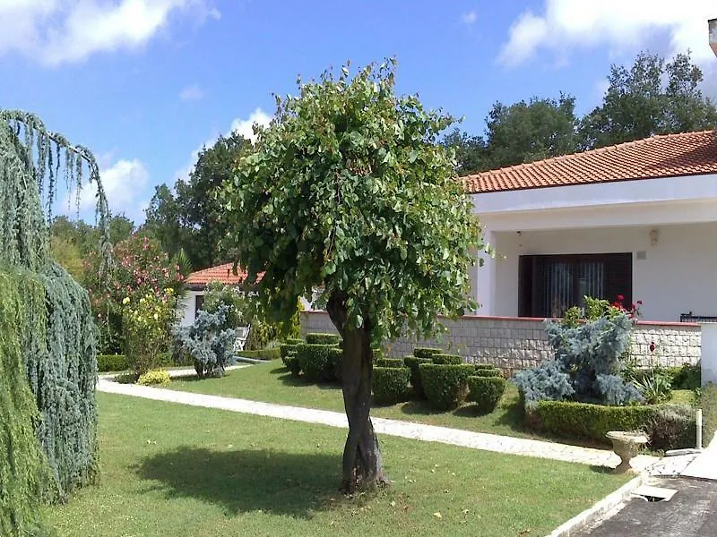 Hotel Holiday Buici